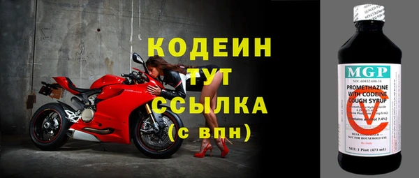 сатива Волоколамск