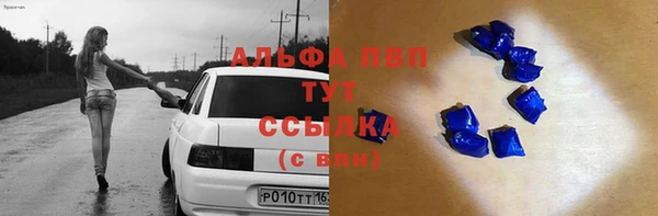 сатива Волоколамск