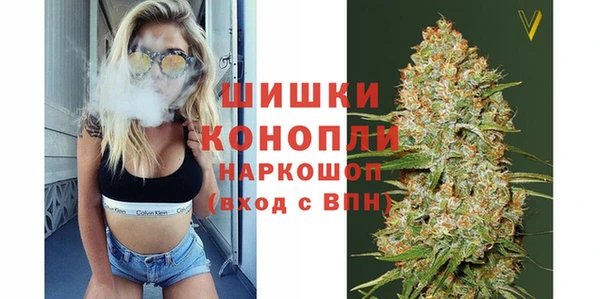 шишки Вязники