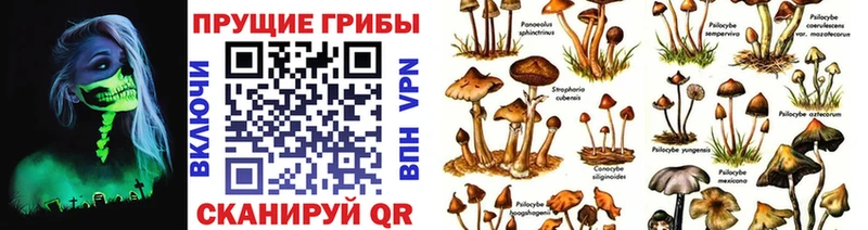 закладка Инта Галлюциногенные грибы Magic Shrooms